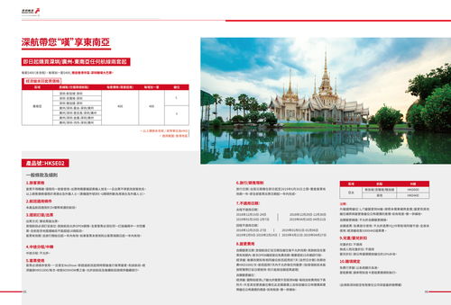 卓越體驗(yàn)，翱翔云端 航空公司產(chǎn)品手冊(cè)與網(wǎng)站設(shè)計(jì)的全方位技術(shù)咨詢方案